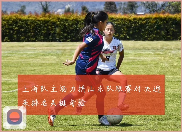 上海队主场力拼山东队联赛对决迎来排名关键考验