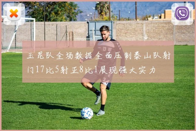 玉昆队全场数据全面压制泰山队射门17比5射正8比1展现强大实力