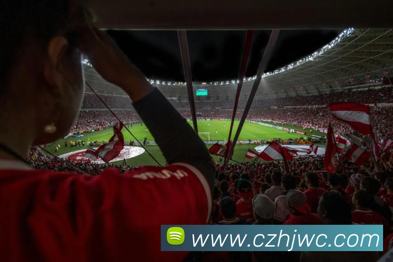 多媒体互动体验